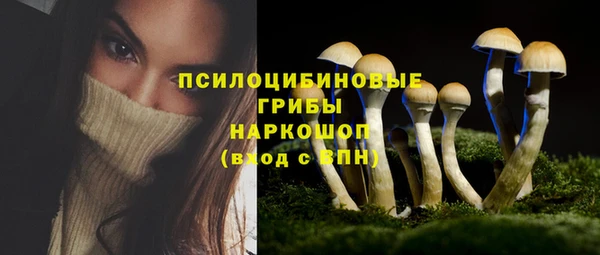 ГАЛЛЮЦИНОГЕННЫЕ ГРИБЫ Алзамай