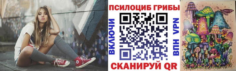 МЕГА   закладка  Андреаполь  Псилоцибиновые грибы Cubensis 